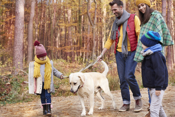 Família caminhando com cão na floresta
  - Foto, Imagem