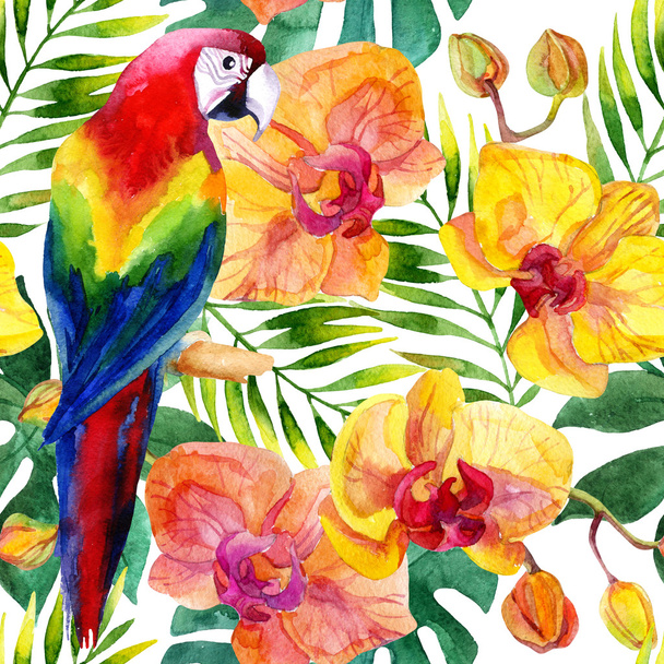 parrot seamless pattern  - Photo, Image