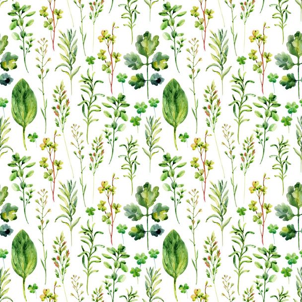 Watercolor meadow weeds and herbs seamless pattern - Photo, Image