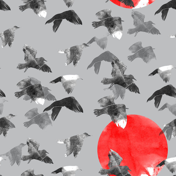 відбитки чайки в небі - Фото, зображення