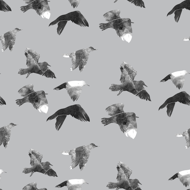otisk Seagull na obloze - Fotografie, Obrázek