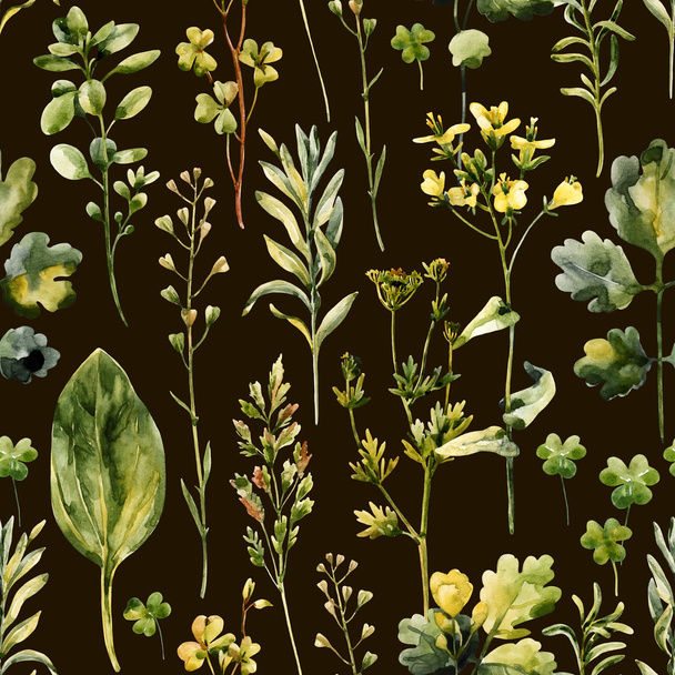 水彩草原花、雑草とハーブのシームレス パターン - 写真・画像
