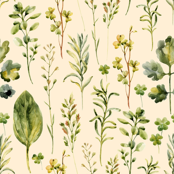 Watercolor meadow weeds and herbs seamless pattern - Photo, Image