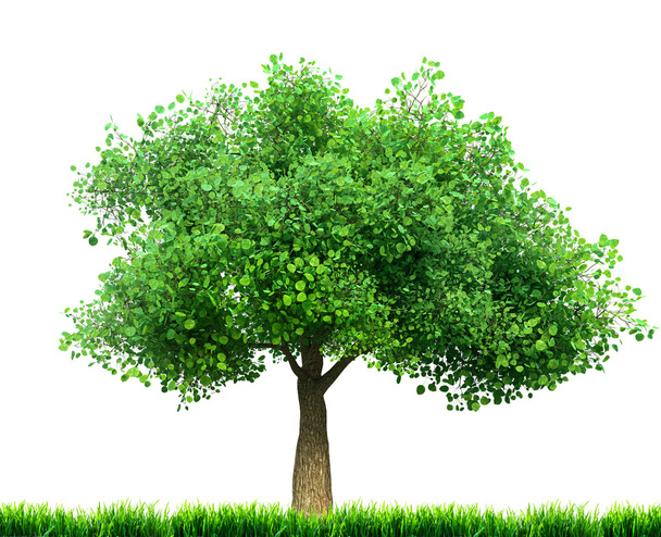 3D иллюстрация дерева и травы
 - Фото, изображение