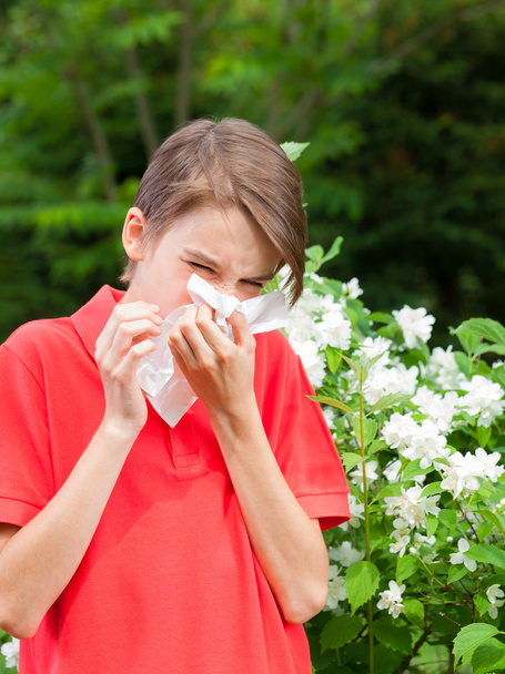 Kid with allergic rhinitis in a spring garden - Photo, Image