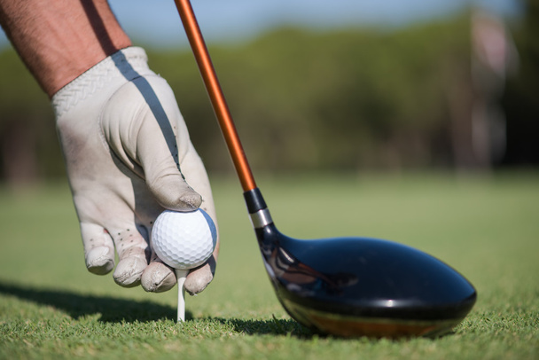 golf player placing ball on tee - Foto, imagen