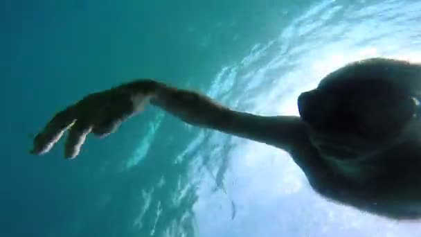 Homme bénéficiant de vacances d'été vue sous-marine
  - Séquence, vidéo
