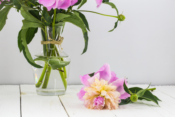 verse bloemen, pioenrozen in een vaas, geïsoleerd op een witte vaas - Foto, afbeelding