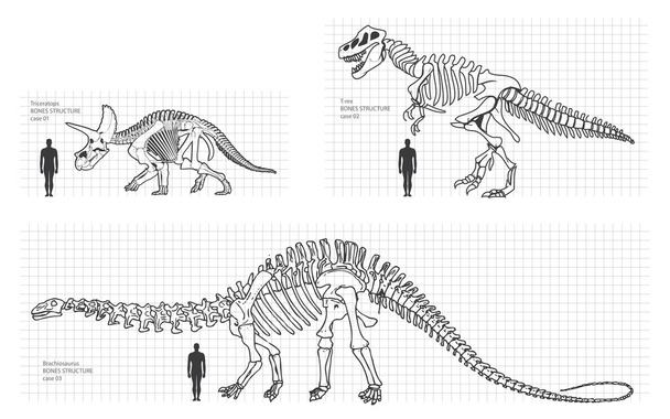 dinosaur and bones - Vector, Image