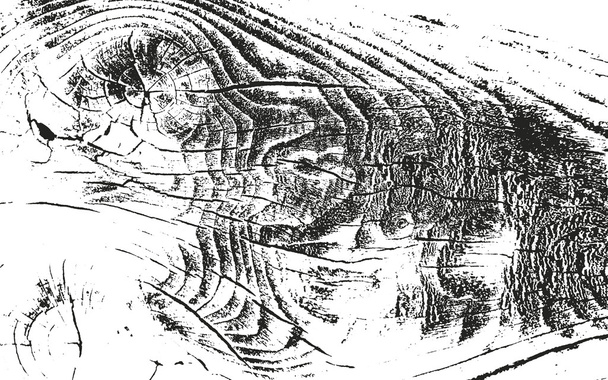 Сжатая текстура деревянной коры
 - Вектор,изображение