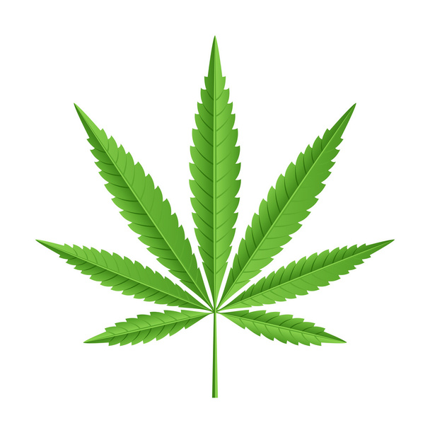 Hoja vectorial de marihuana
 - Vector, Imagen