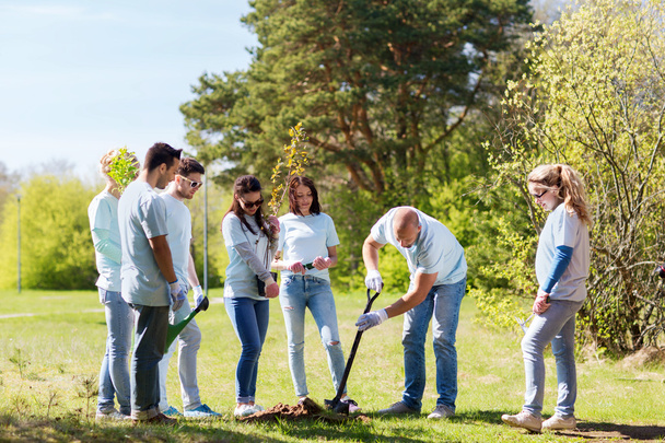 group of volunteers planting tree in park - Zdjęcie, obraz