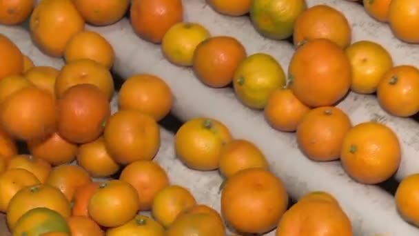 Tangerines in refinery - Кадри, відео