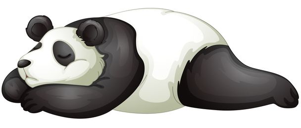 Panda! - Vektor, kép