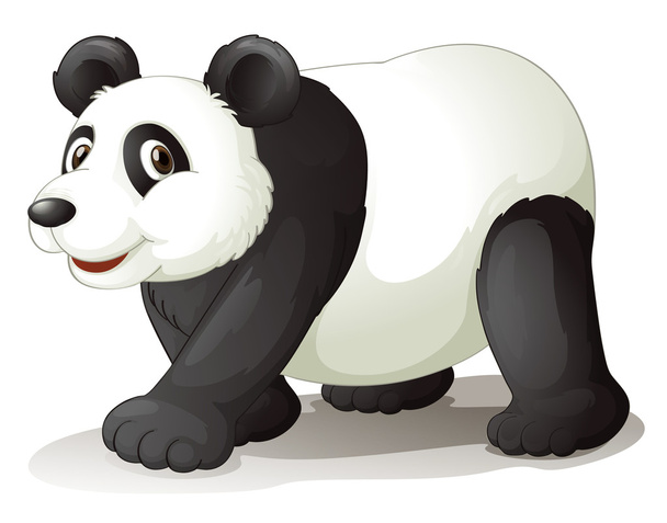 Panda - Vektor, Bild