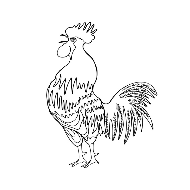 Image of a hand drawing cock  - Foto, Imagem