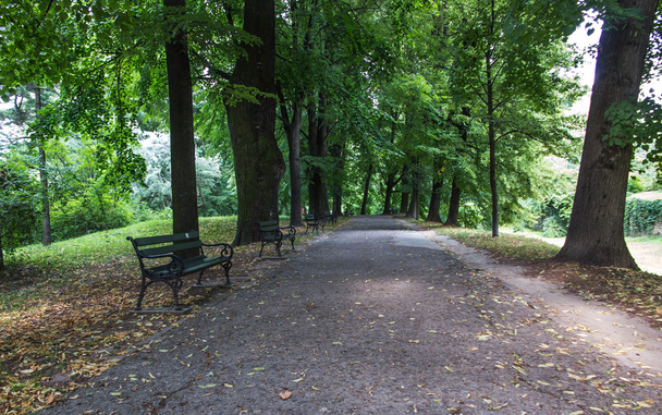 benches at the alley in the old park - Φωτογραφία, εικόνα