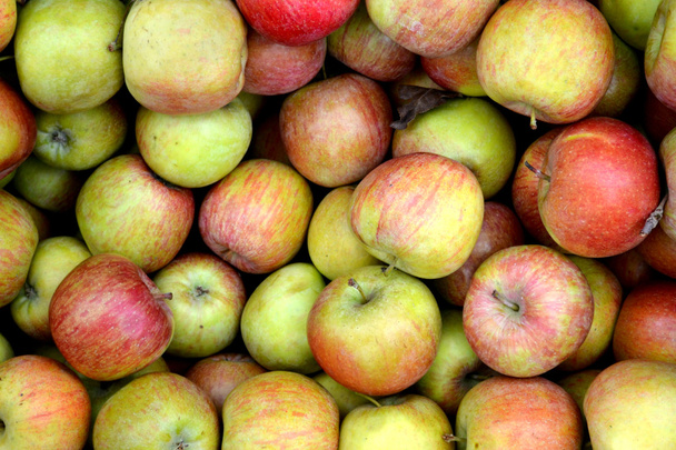Manzanas verdes y rojas enteras en el mercado
 - Foto, Imagen
