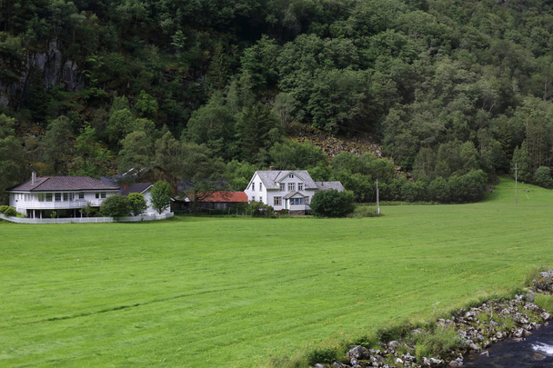 Typical Norwegian village - Фото, изображение