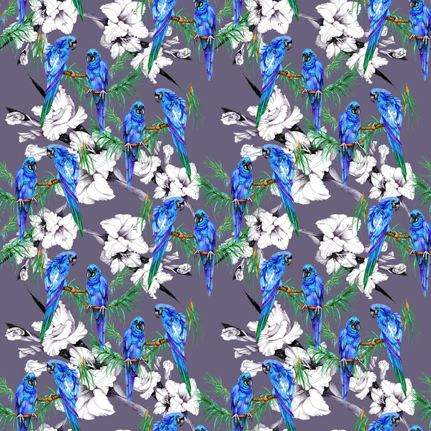 parrots and  flowers pattern - Foto, afbeelding