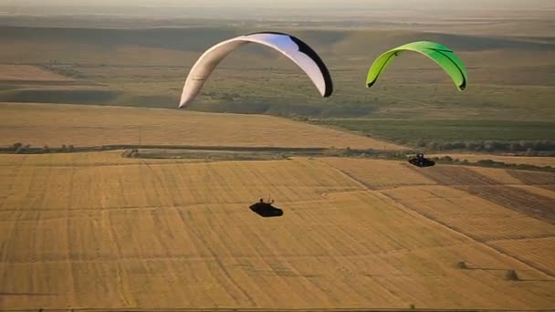 Paraglider in de hemel over de steppe. - Video