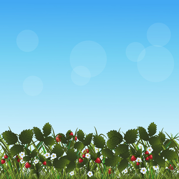 trávník s jahodami květiny a byliny - Vektor, obrázek