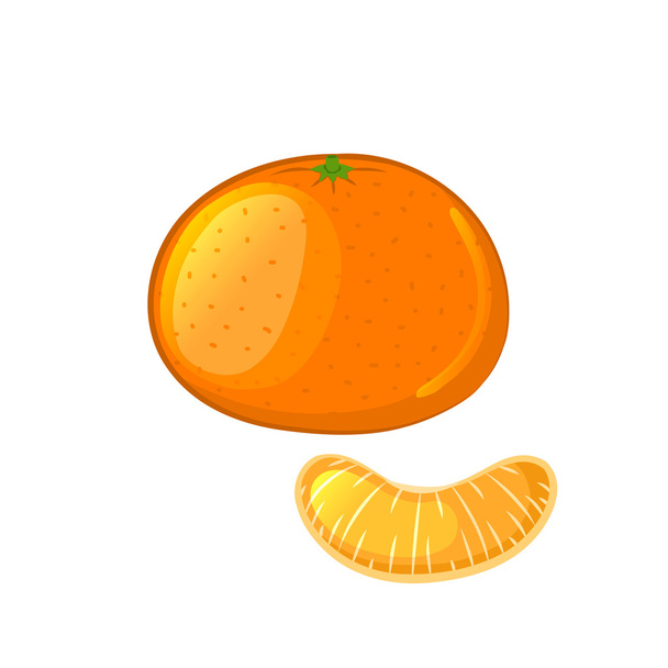 Mandarin and tangerine slice. - Вектор,изображение