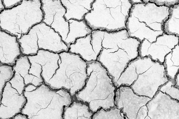 white and black soil drought cracked texture (High resolution) - Photo, Image