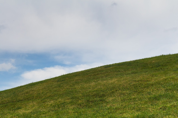 Green grass on the hill and cloudy sky - Photo, Image