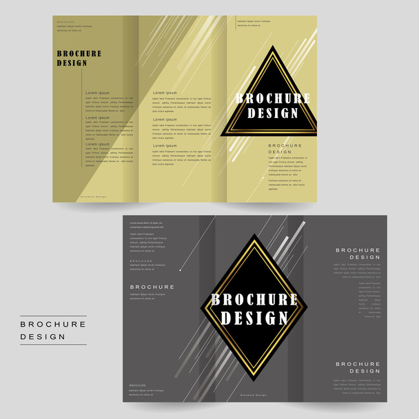 elegant brochure template - Vector, Image