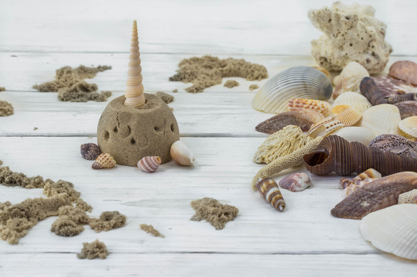 variety of seashells, corals, shell, starfish, isolated on white background - Foto, Bild