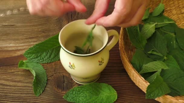 Zdravý bylinkový čaj připravit. Čerstvý mátový čaj vyrobený - Záběry, video