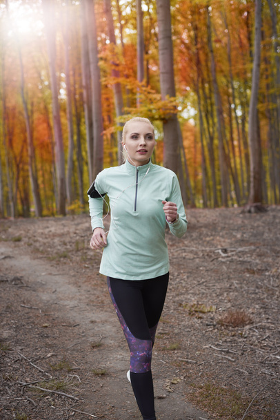 Femme jogging dans la forêt d'automne
. - Photo, image