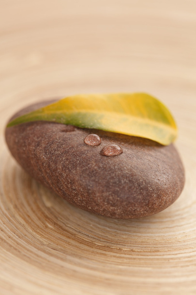 Yellow leaf on the stone - Φωτογραφία, εικόνα