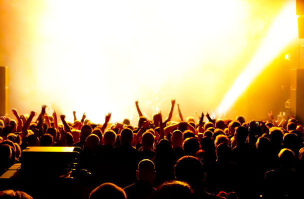 siluety koncertního davu před jasnými jevištními světly - Fotografie, Obrázek