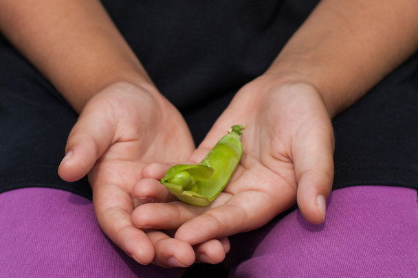 Ripe pear on the children's hands. - Фото, зображення