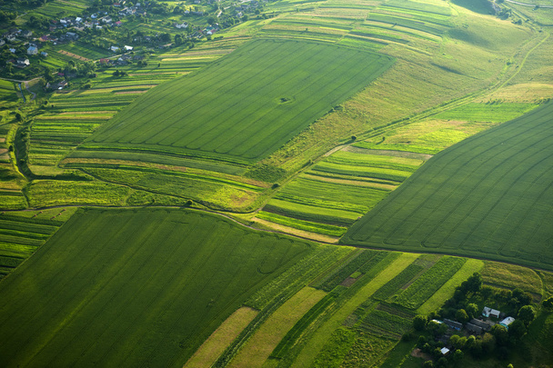 Vista aérea em partes verdes e amarelas dos campos e do campo
 - Foto, Imagem