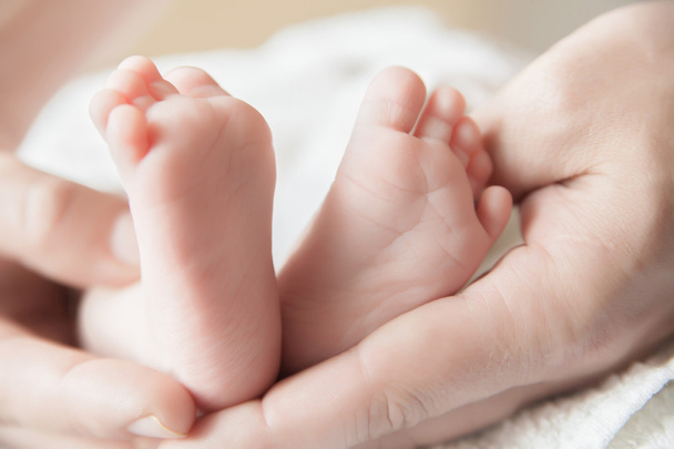 Parent holding his newborn babys feet - Photo, Image