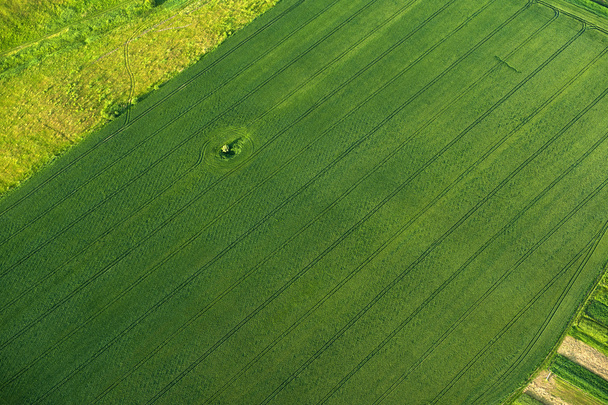 Aerial view on green and yellow parts of fields and countryside - Foto, imagen