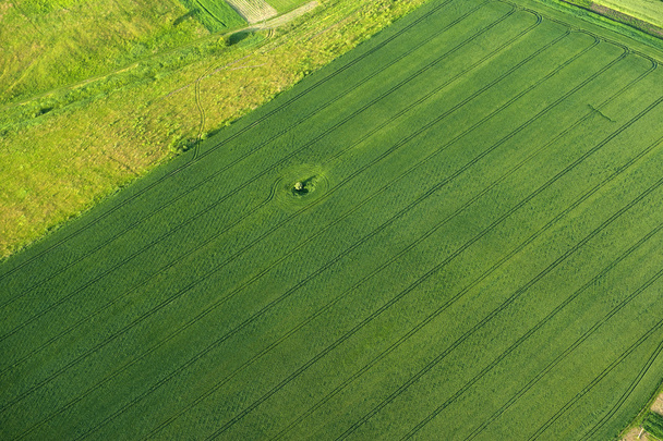 Вид с воздуха на зеленые и желтые участки полей и сельской местности
 - Фото, изображение