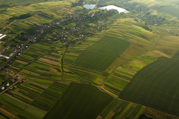 Aerial view on green and yellow parts of fields and countryside - 写真・画像