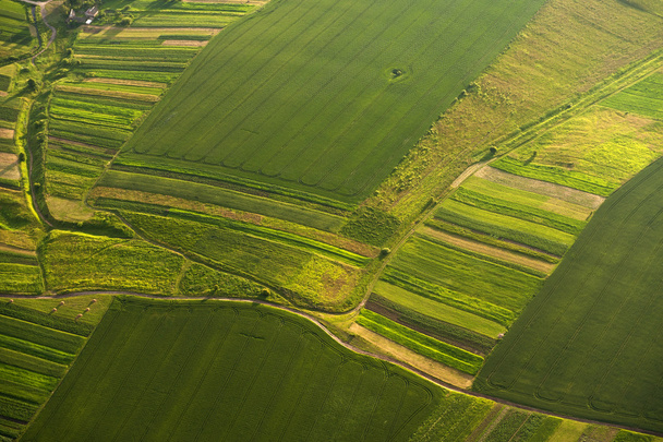 Luchtfoto op groene en gele delen van velden en platteland - Foto, afbeelding