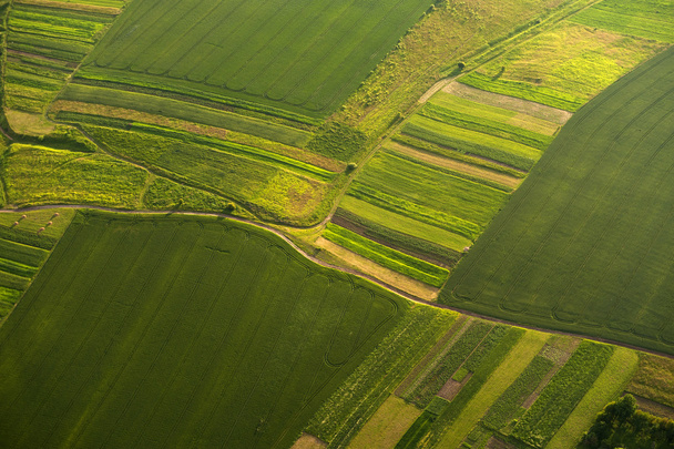 Вид с воздуха на зеленые и желтые участки полей и сельской местности
 - Фото, изображение