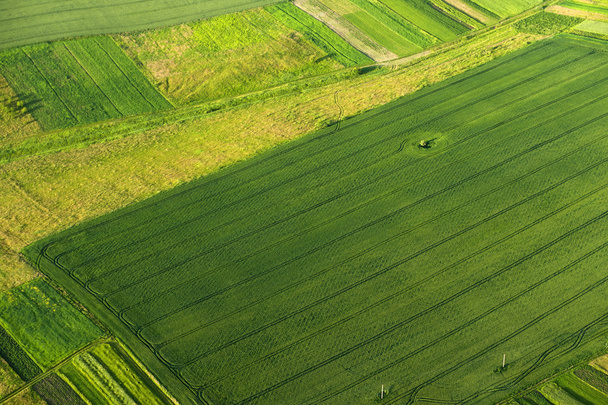 Vue aérienne sur les parties vertes et jaunes des champs et de la campagne
 - Photo, image