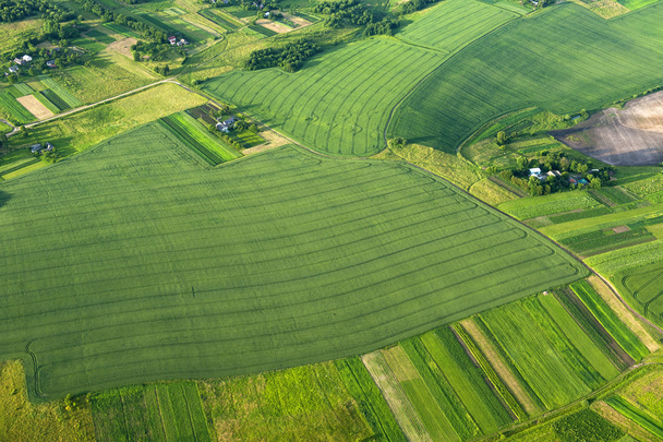 Luchtfoto op groene en gele delen van velden en platteland - Foto, afbeelding