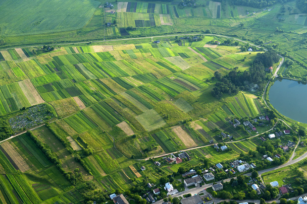 Vista aérea de zonas verdes y amarillas de campos y campos
 - Foto, Imagen