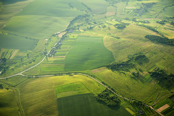 フィールドや田園地帯の緑と黄色の部分の空中写真 - 写真・画像