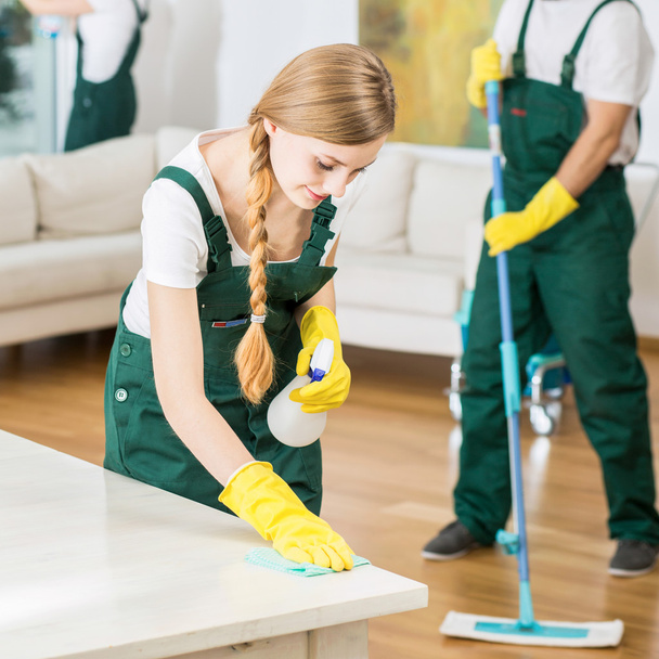 Cleaning company and spacious living room - Fotoğraf, Görsel