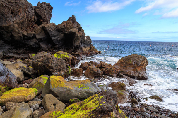 Moss taşlar ve okyanus  - Fotoğraf, Görsel