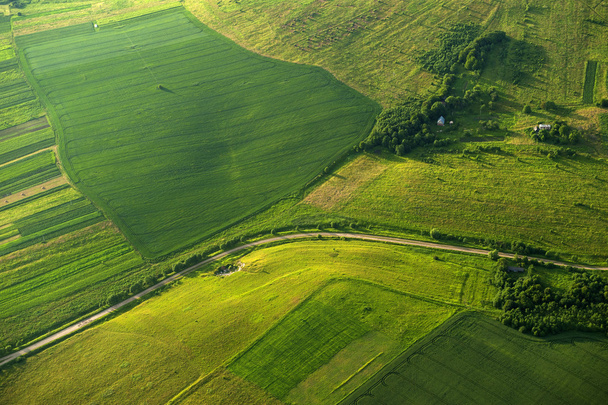 Aerial view on green and yellow parts of fields and countryside - Photo, Image